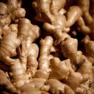Indian Ginger