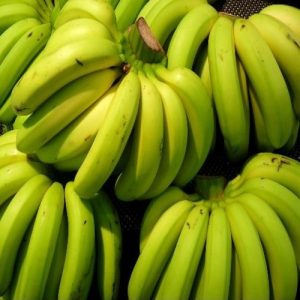 Indian G9 Cavendish Banana